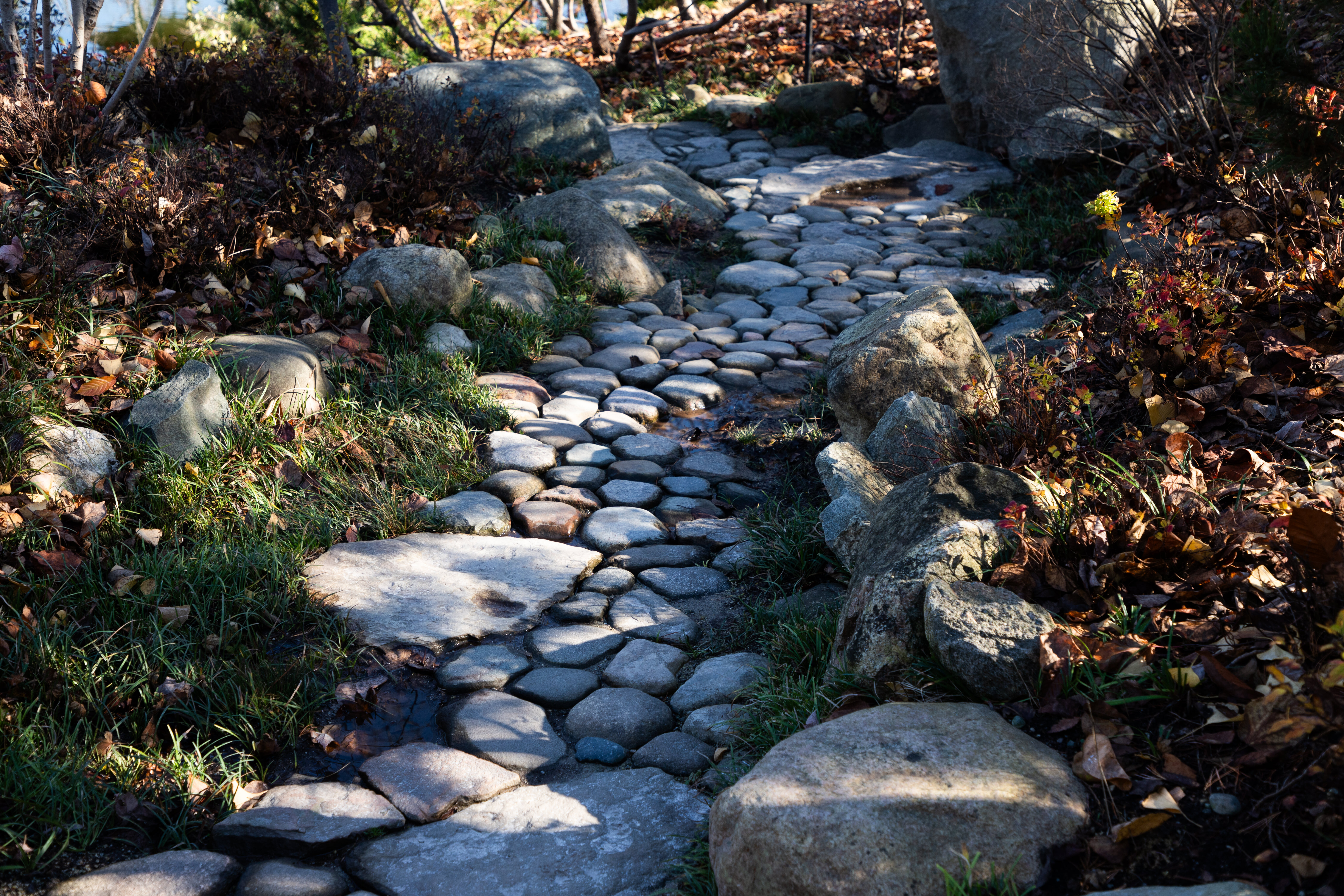 Path